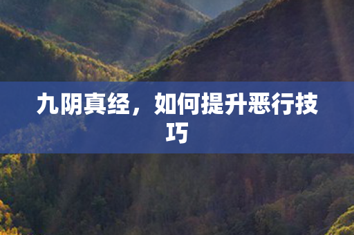 如何提升恶行技巧图片