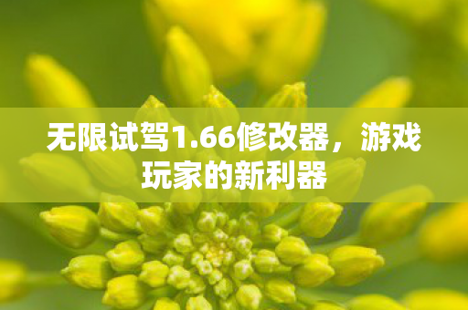 游戏玩家的新利器图片