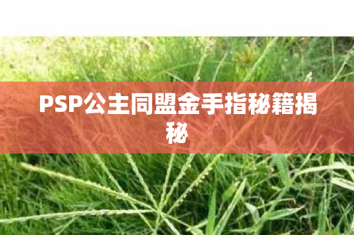 PSP公主同盟金手指秘籍揭秘图片