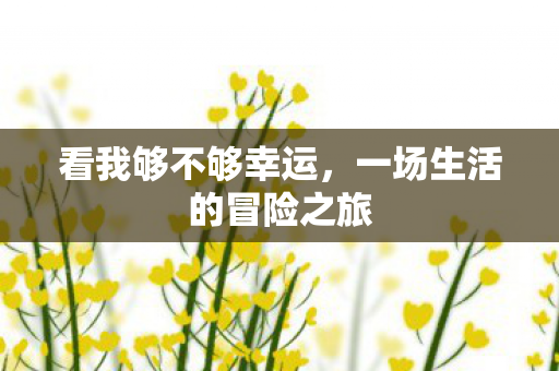 一场生活的冒险之旅图片