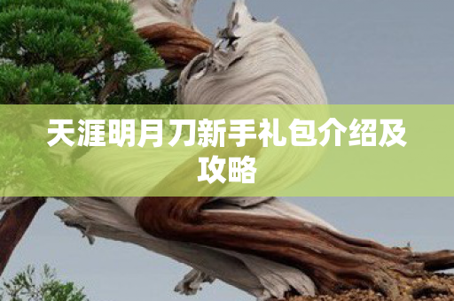 天涯明月刀新手礼包介绍及攻略图片