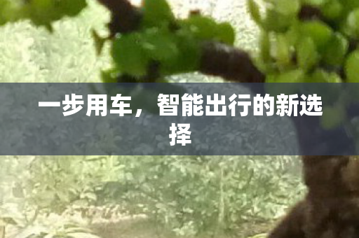 智能出行的新选择图片