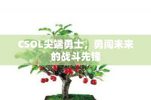 勇闯未来的战斗先锋图片