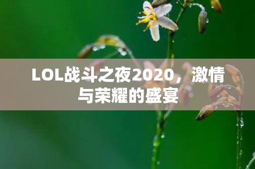 LOL战斗之夜2020图片