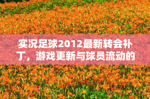 实况足球2012最新转会补丁图片