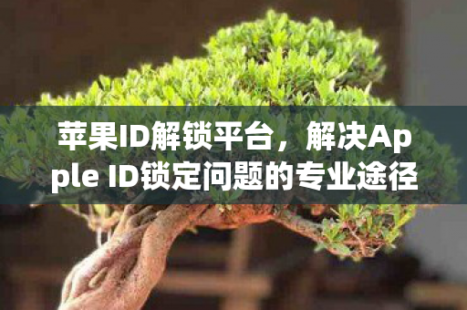 解决Apple ID锁定问题的专业途径图片