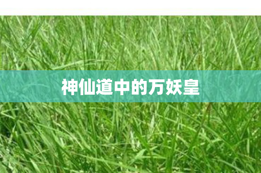 神仙道中的万妖皇图片