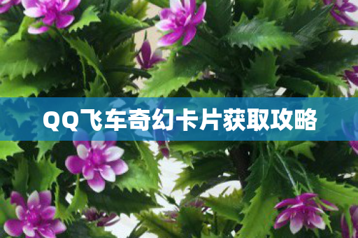 QQ飞车奇幻卡片获取攻略图片