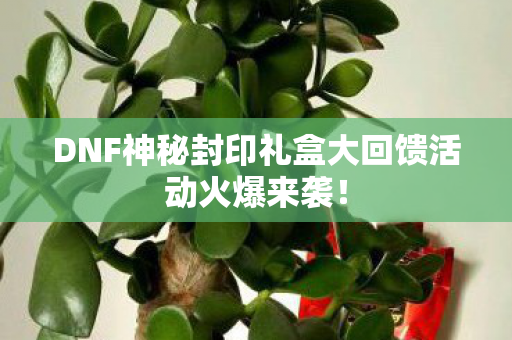 DNF神秘封印礼盒大回馈活动火爆来袭图片