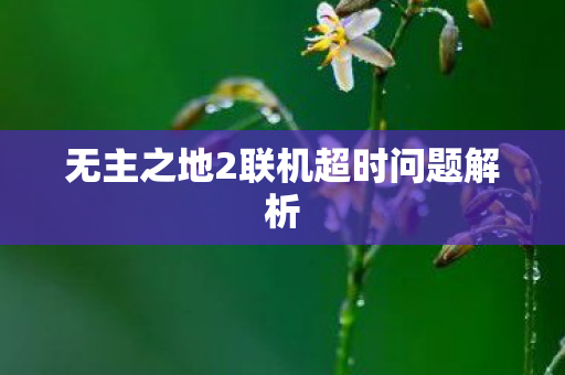 无主之地2联机超时问题解析图片