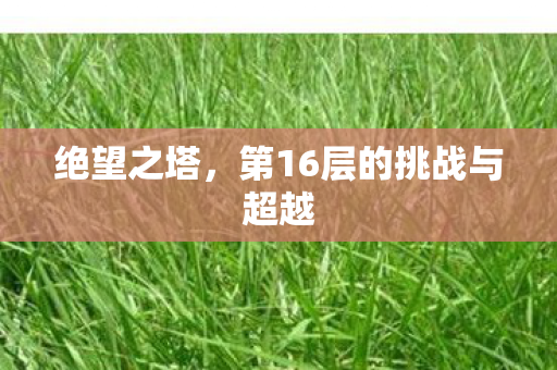 第16层的挑战与超越图片
