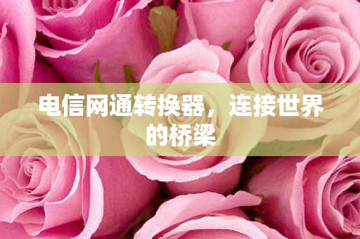 电信网通转换器图片