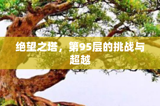 第95层的挑战与超越图片