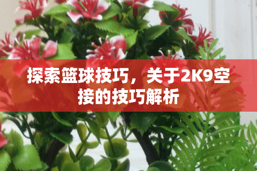 关于2K9空接的技巧解析图片