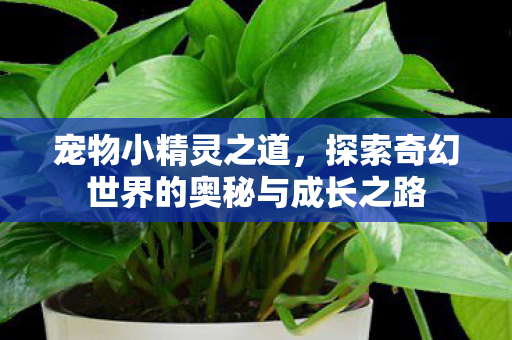 探索奇幻世界的奥秘与成长之路图片