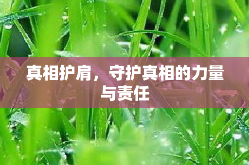 守护真相的力量与责任图片