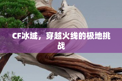 穿越火线的极地挑战图片