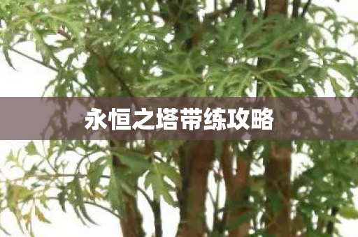 永恒之塔带练攻略图片