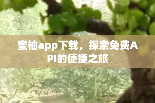 探索免费API的便捷之旅图片