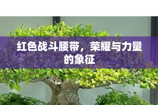 荣耀与力量的象征图片