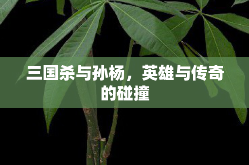 英雄与传奇的碰撞图片