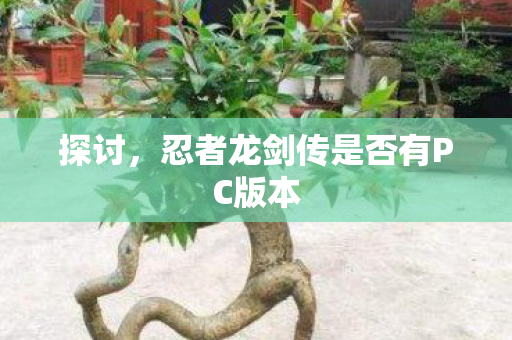 忍者龙剑传是否有PC版本图片