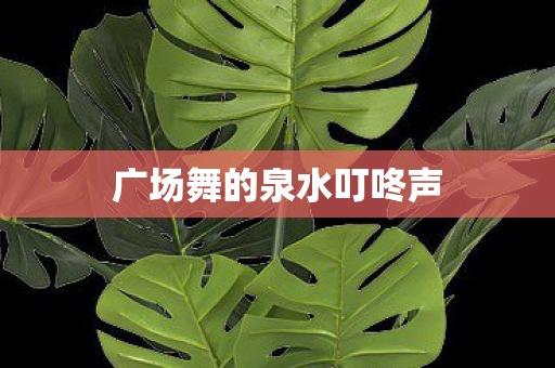 广场舞的泉水叮咚声图片