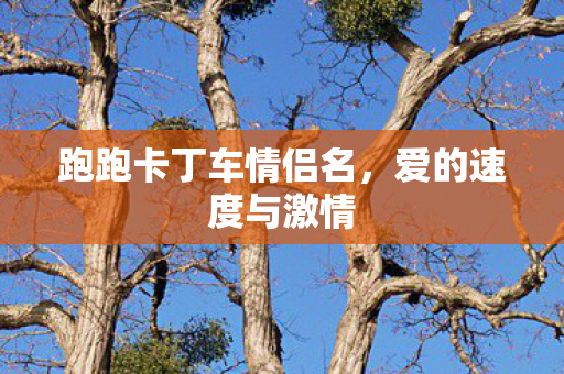跑跑卡丁车情侣名图片