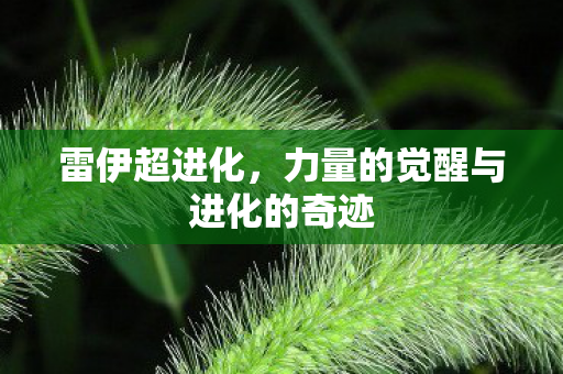 力量的觉醒与进化的奇迹图片