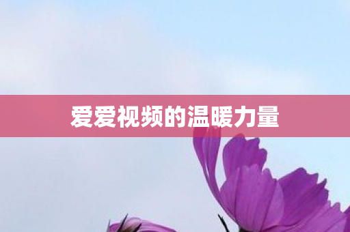 爱爱视频的温暖力量图片