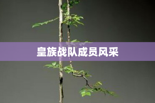 皇族战队成员风采图片