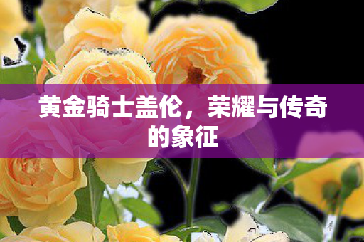 荣耀与传奇的象征图片