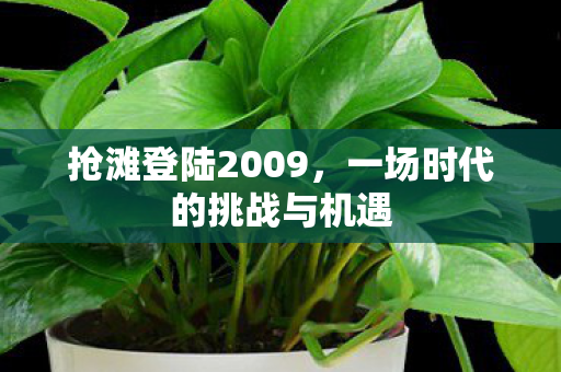一场时代的挑战与机遇图片