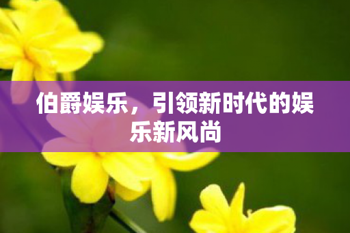 引领新时代的娱乐新风尚图片