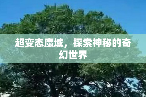 探索神秘的奇幻世界图片