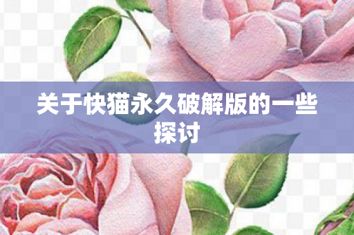 关于快猫永久破解版的一些探讨图片