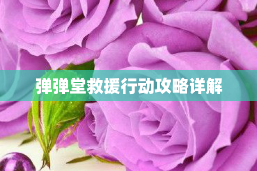 弹弹堂救援行动攻略详解图片