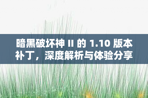 暗黑破坏神 II 的 1图片