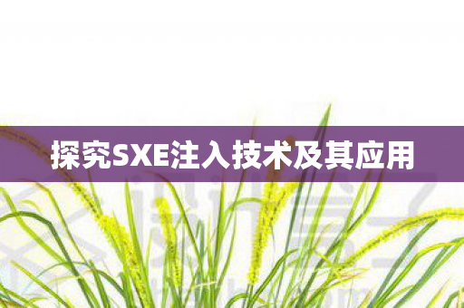 探究SXE注入技术及其应用图片