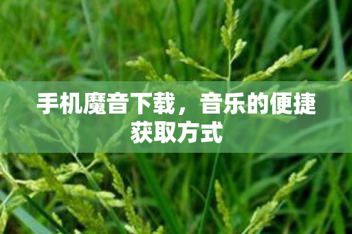 音乐的便捷获取方式图片