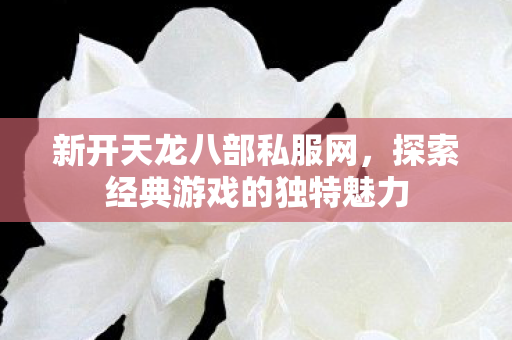 探索经典游戏的独特魅力图片