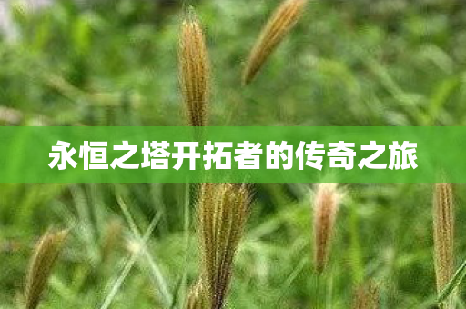 永恒之塔开拓者的传奇之旅图片
