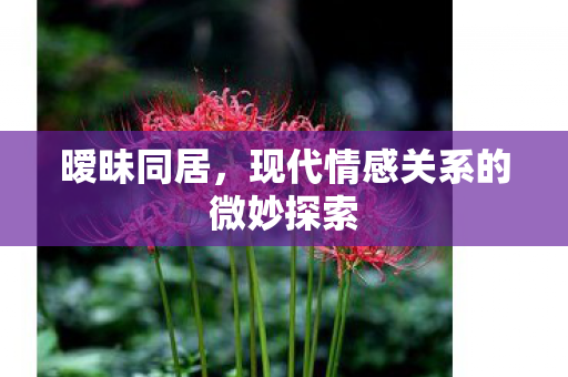 现代情感关系的微妙探索图片
