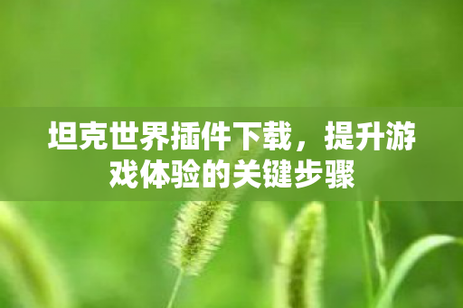 提升游戏体验的关键步骤图片