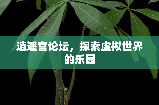 探索虚拟世界的乐园图片