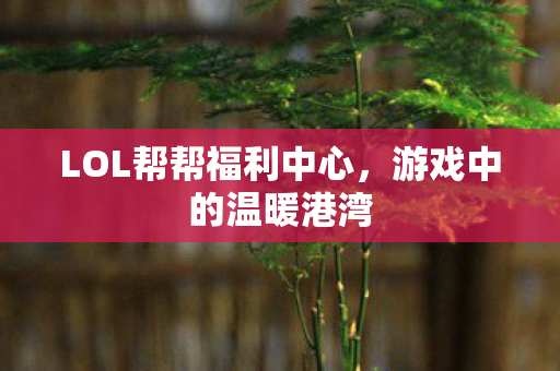 LOL帮帮福利中心图片