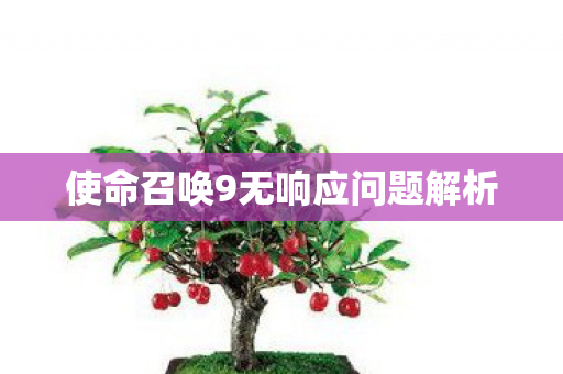 使命召唤9无响应问题解析图片