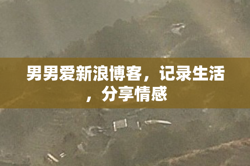 男男爱新浪博客图片