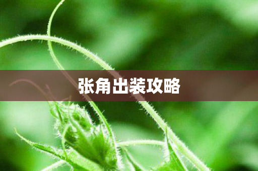 张角出装攻略图片