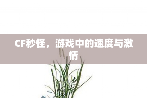 游戏中的速度与激情图片